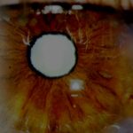 0.3.Lente-Multifocal-942x1024